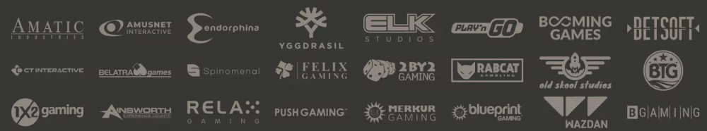 programmaturas-nodrosinataji-1-1000x186